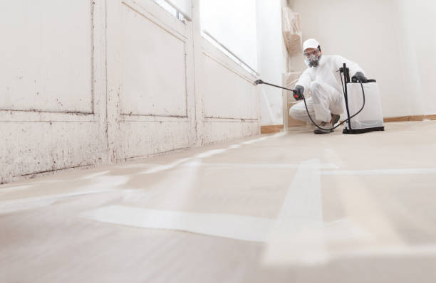 24/7 Emergency Mold Removal experts in Willowbrook, IL