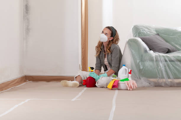 Reliable Mold Removal contractor in Willowbrook, IL by Mold Remediation HQ
